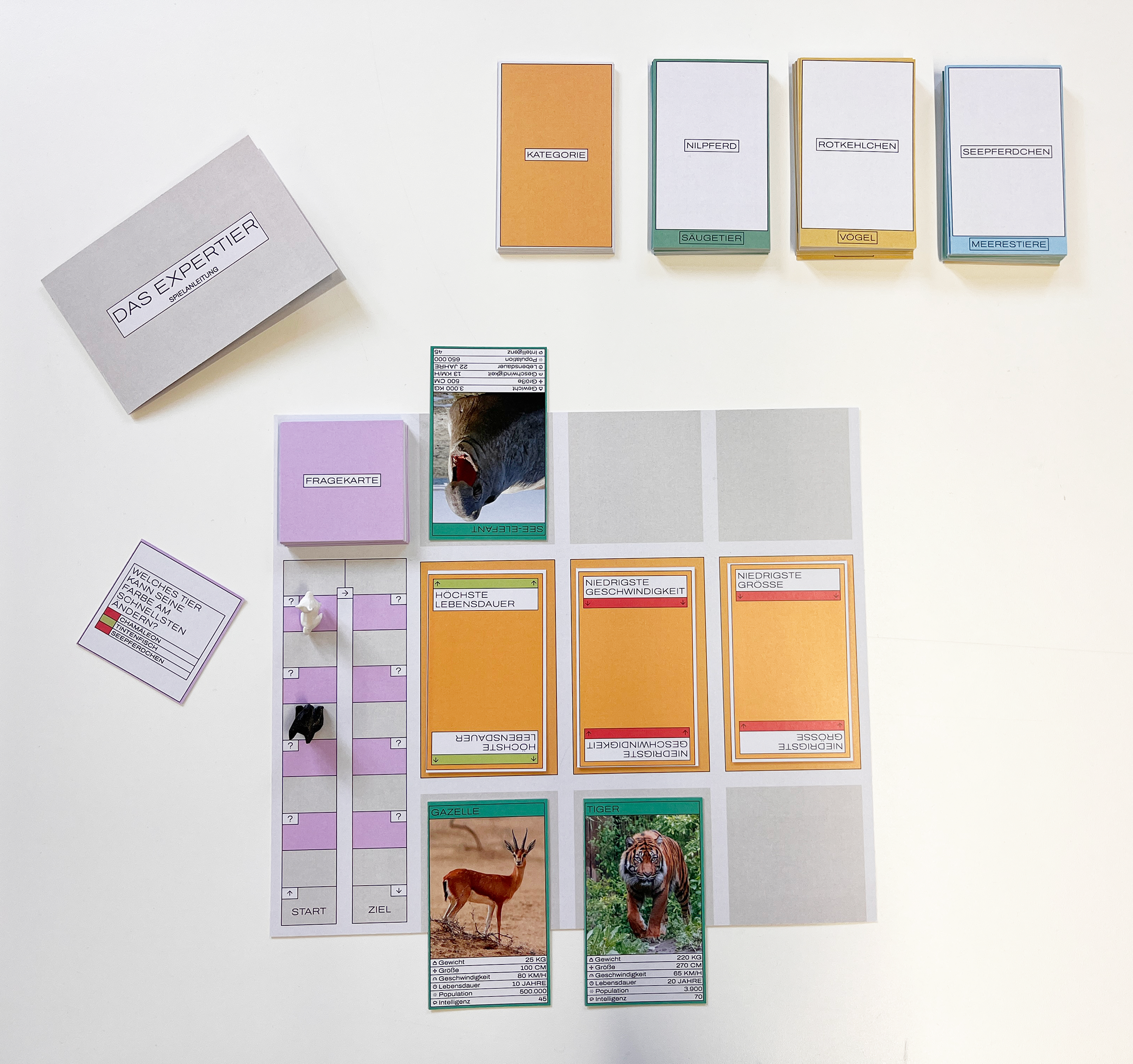 Das ExperTier Thumbnail